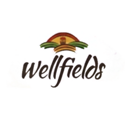wellfields