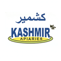 kashmir