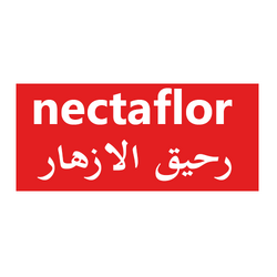 nectaflor